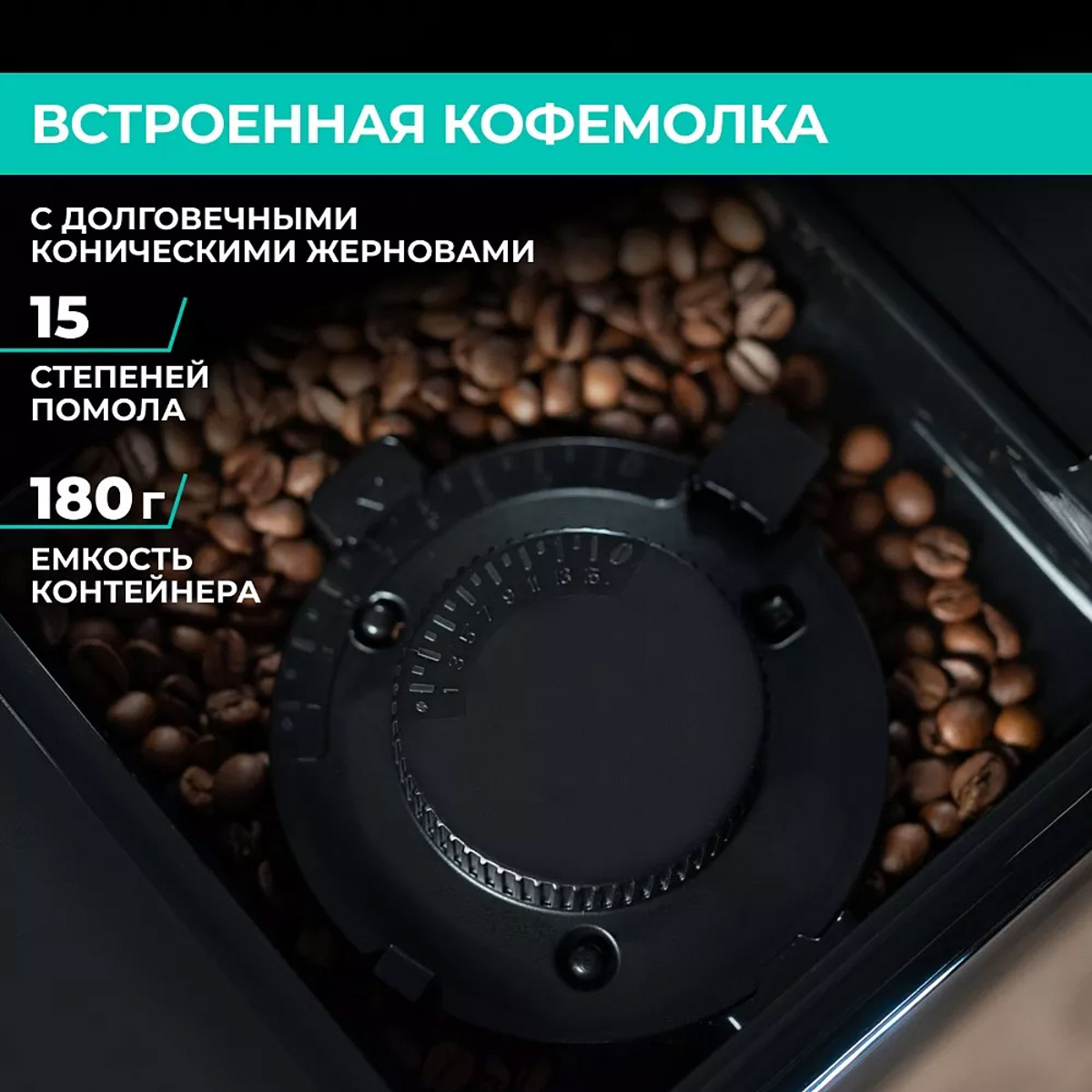 Какие виды кофейных зерен существуют и чем они отличаются? - 5