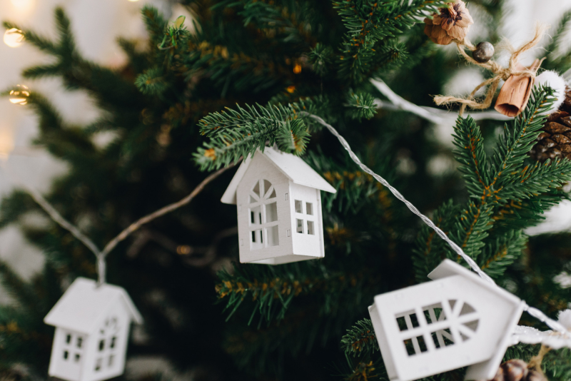 Елка быстро сохнет и осыпается: как продлить жизнь новогодней елке - 3