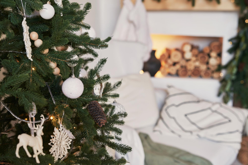 Елка быстро сохнет и осыпается: как продлить жизнь новогодней елке - 1