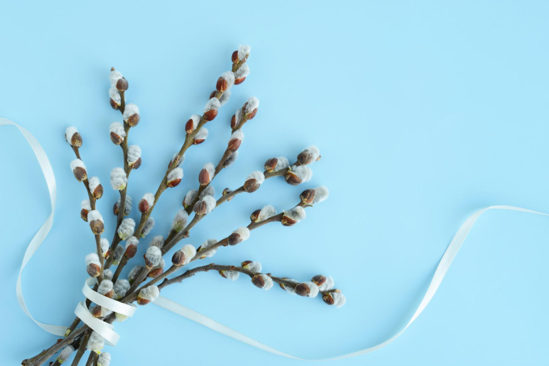 Вербное воскресенье в 2026 году: дата, суть праздника, приметы - 1