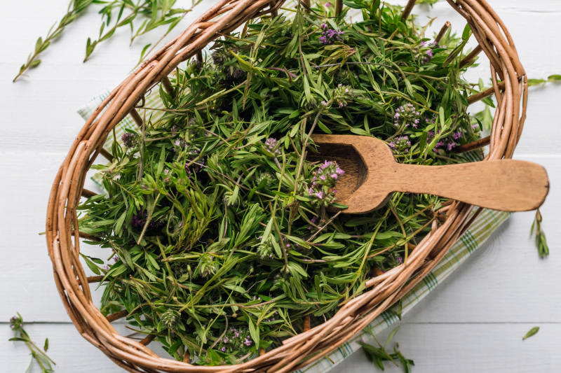 Тимьян и чабрец: в чем разница? Обзор и полезные рецепты - 1