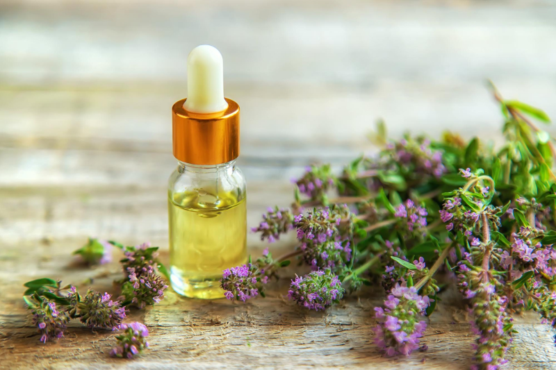 Тимьян и чабрец: в чем разница? Обзор и полезные рецепты - 2